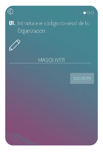 masoliver cores.png